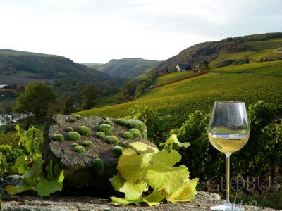 Weinregion_Nahе
