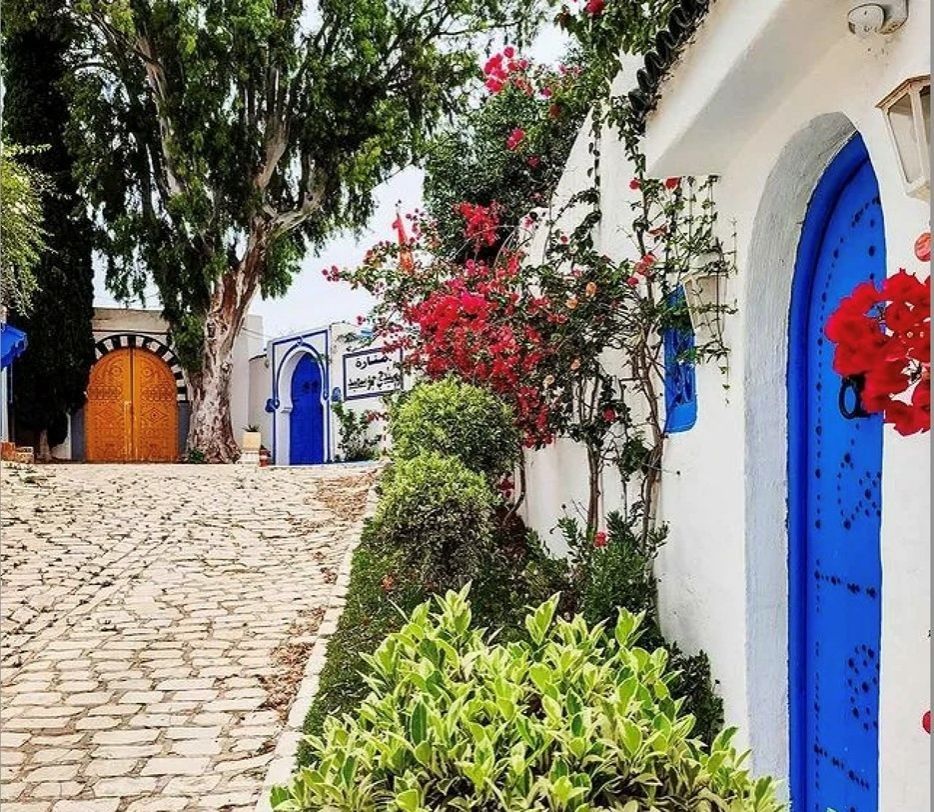 тунис